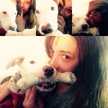 pato