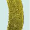 picklecooker