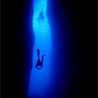 Cdiver