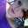 katelyn.holson
