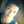 Merwin Jessie Almazora