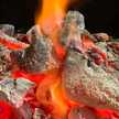 Sommelier del Asado