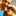 amber_zoller
