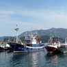 agarcia_tgn agarcia_tgn
