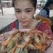 ธีรานุช คัดทะจันทร์