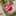 Silvia Noemi Rihl Winchel Silvia Noemi Rihl Winchel