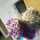 tosie2382