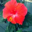 Mamaof_3
