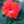 Mamaof_3