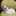 Pearl_00 Pearl_00