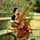 Pooja Pathak Dixit Pooja Pathak Dixit