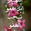فايزه عرنوس