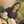 🌿❇Araceli❇🌿 🌿❇Araceli❇🌿