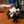 parch