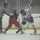 harveyaj20