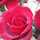 Israa M.F. Israa M.F.