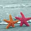 pgseashore