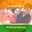Rajul Agarwal