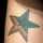 studstar