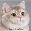 iLoveEatingAnimals