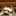 kitten5465