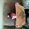 toto73