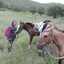 Lucre Gallo