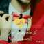 Basma Elbary