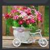 Shalu 