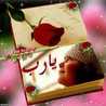 دينا درويش
