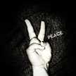 Mantz*