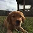 Katie Ely-Kroeger