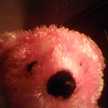 teriberry