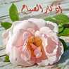 طبخات ميهاد 