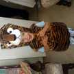 kim.edwards.7796