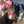 saraaa