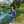 Luis Fernando Monzon Santan