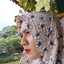 Megie Yunita