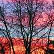 mary.salvani.1