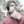 Sony Adam Saputra