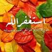 يوسف العولقي