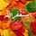 يوسف العولقي
