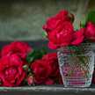 RA Arshaed