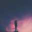 Shahin
