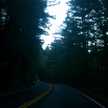 Aly Sauce