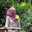 Dini Suhartini