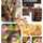 Annisa Sweetgallery Annisa Sweetgallery