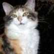 staci.faubion.5