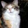staci.faubion.5