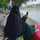 Hikmah Ummu Adelia Zahwa Hikmah Ummu Adelia Zahwa